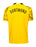 Borussia Dortmund 23/24 Cup Kit